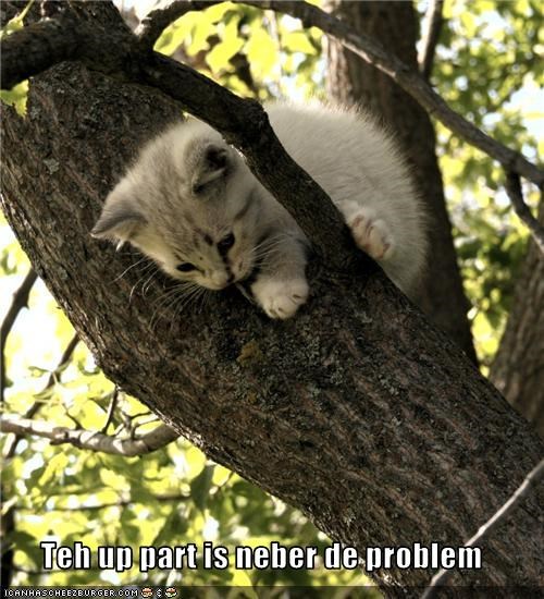 Teh up part is neber de problem