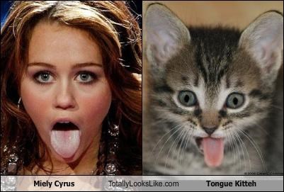 Miely Cyrus Totally Looks Like Tongue Kitteh