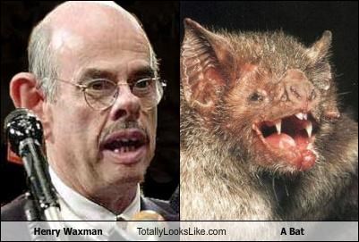 Henry Waxman Totally Looks Like A Bat
