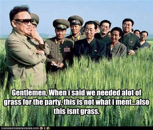 Gentlemen, When i said we needed alot of grass for the party, this is not what i ment...also this isnt grass.