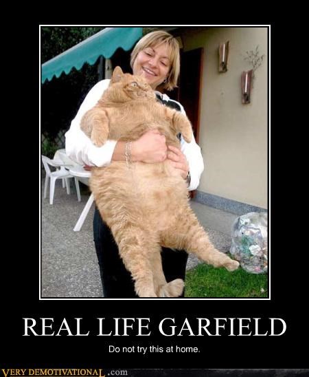 REAL LIFE GARFIELD