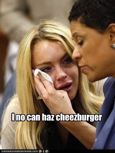 Oh Noez!! Not teh Cheezburgerz