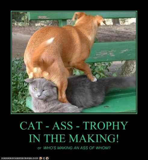 CAT - ASS - TROPHY IN THE MAKING!