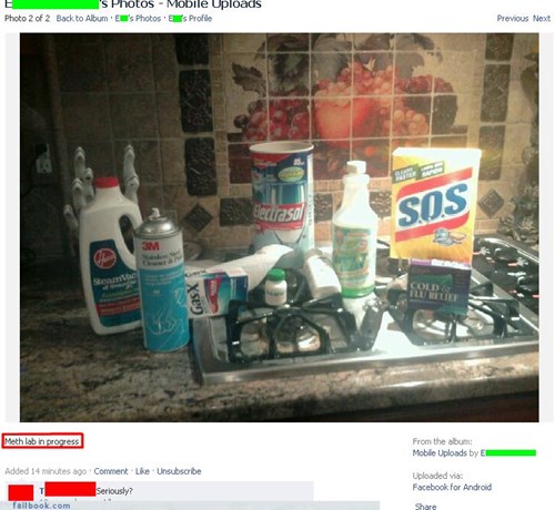 Posting Your Lab On Facebook Isn't Normal. But On Meth, It Is.