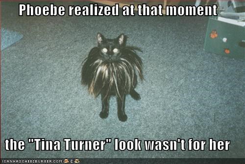 Phoebe realized at that moment  the "Tina Turner" look wasn't for her