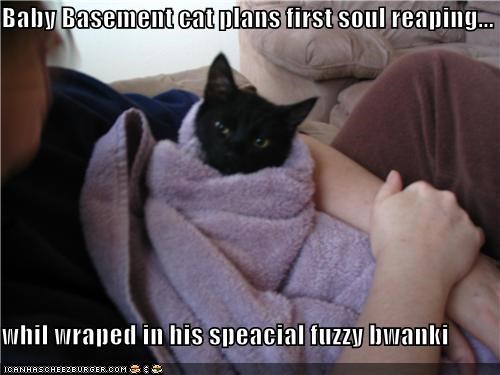 Baby Basement cat plans first soul reaping...  whil wraped in his speacial fuzzy bwanki