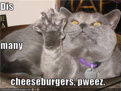 Dis many cheeseburgers, pweez.