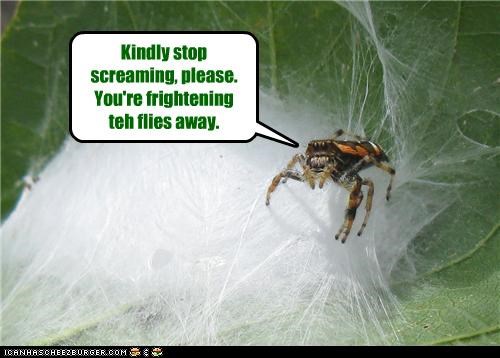 Kindly stop screaming, please.  You're frightening teh flies away.