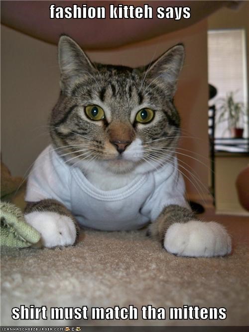 fashion kitteh says  shirt must match tha mittens