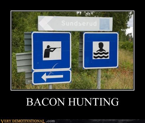 BACON HUNTING