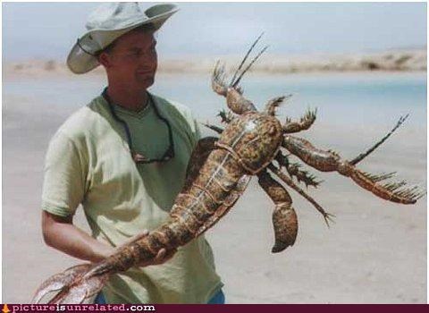 Now That Is A Lobster...Or An Alien...Not Sure