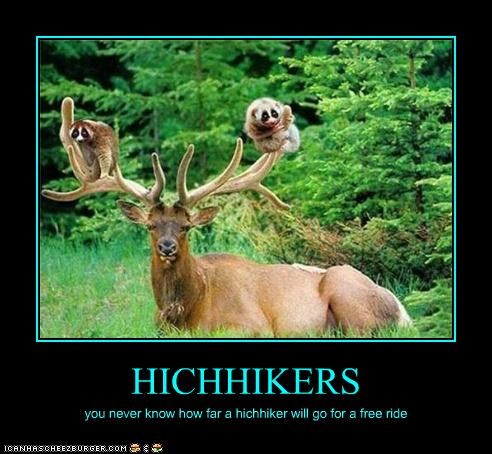 HICHHIKERS