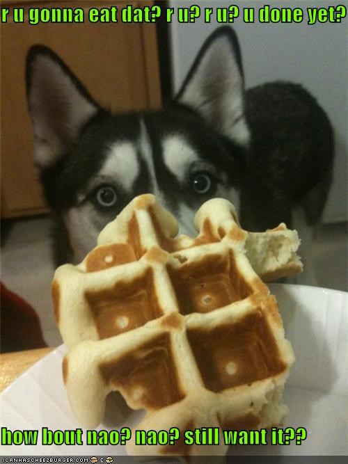 r u gonna eat dat? r u? r u? u done yet?  how bout nao? nao? still want it??