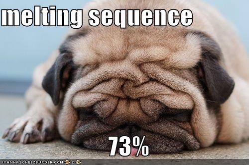 melting sequence                        73%