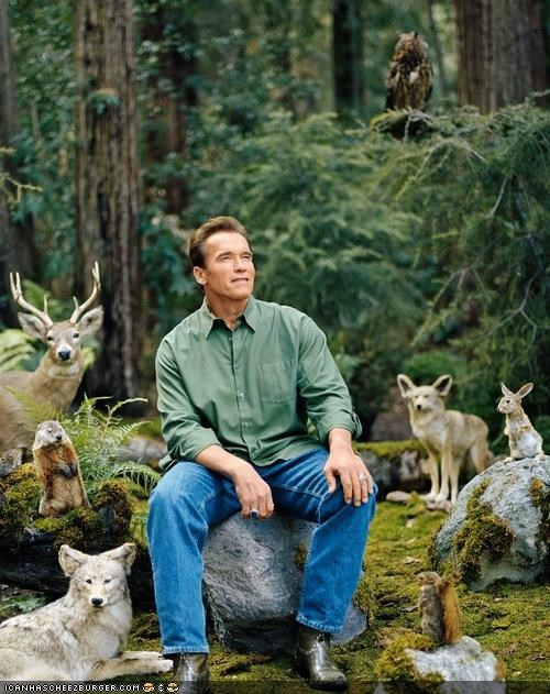 Captionable Photo Of The Day - Peace On Earth