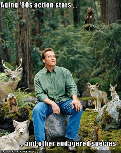 Aging '80s action stars ...  ... and other endagered species