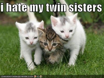 i hate my twin sisters