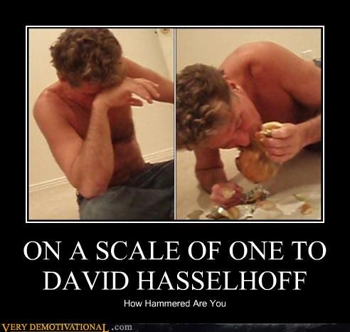 ON A SCALE OF ONE TO DAVID HASSELHOFF