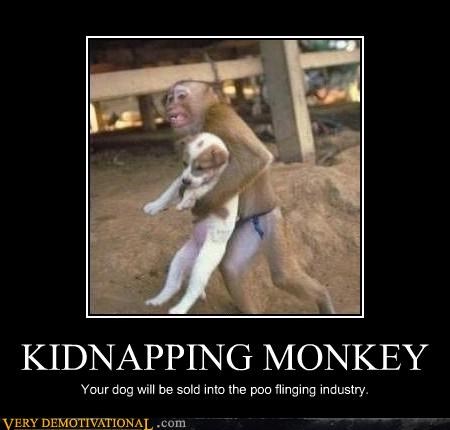 KIDNAPPING MONKEY