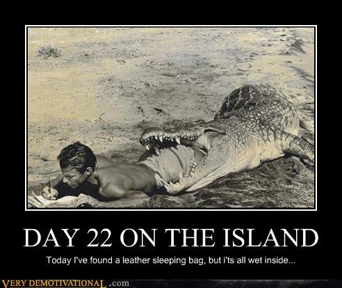DAY 22 ON THE ISLAND