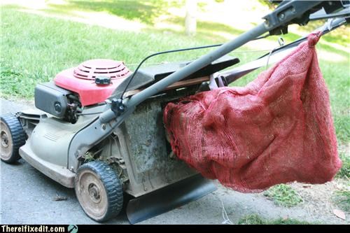 Bags of Grass are Usually Expensive