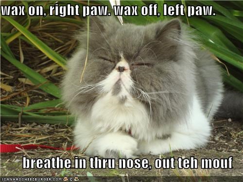 wax on, right paw. wax off, left paw.  breathe in thru nose, out teh mouf