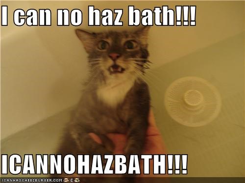 I can no haz bath!!!  ICANNOHAZBATH!!!