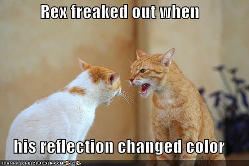 Rex freaked out when  his reflection changed color
