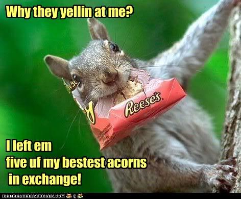 Why they yellin at me? 







I left em 
five uf my bestest acorns
 in exchange!