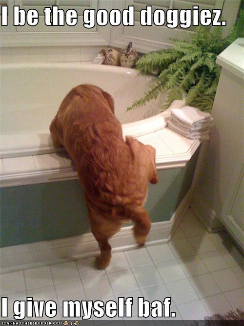 I be the good doggiez.  I give myself baf.