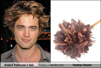 Robert Pattinson's Hair Totally Looks Like Feather Duster