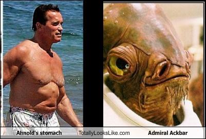 Ahnold's stomach Totally Looks Like Admiral Ackbar