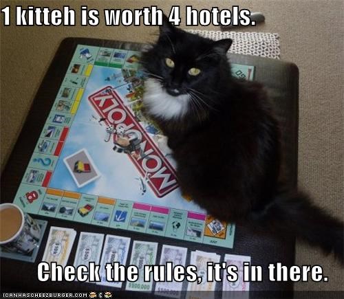 1 kitteh is worth 4 hotels.  Check the rules, it's in there.
