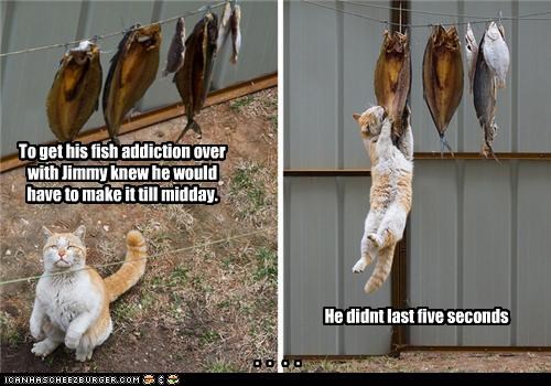 To get his fish addiction over with Jimmy knew he would have to make it till midday.