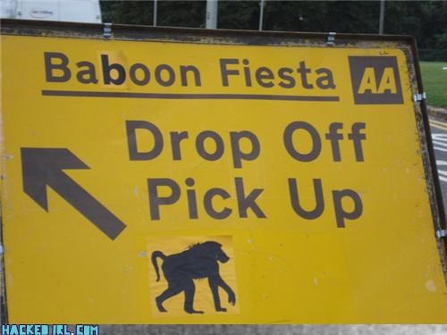 Dropping Off Is Easy... Pick Up? Not So Much