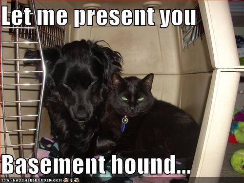 Let me present you  Basement hound...