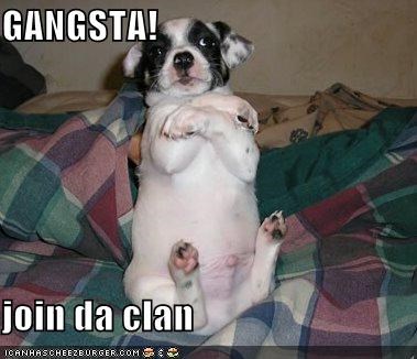 GANGSTA!  join da clan