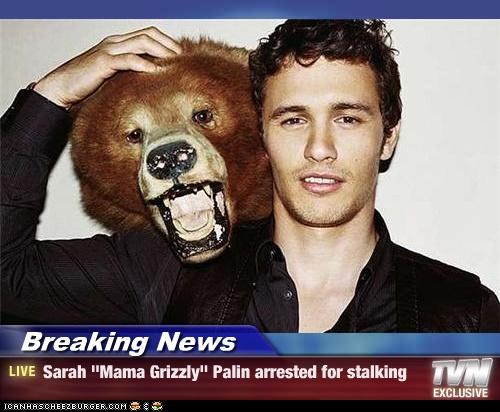 Breaking News - Sarah "Mama Grizzly" Palin arrested for stalking