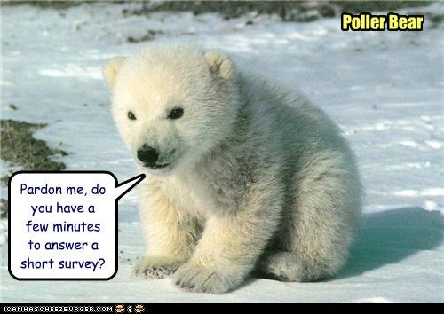 Poller Bear
