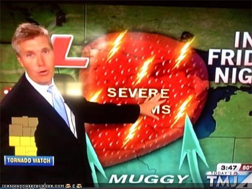 Pundit Blotter: Chance Of Severe Strawberries!