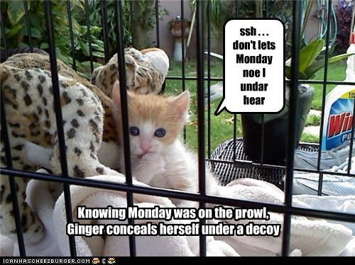 ssh . . . don't lets Monday noe I undar hear