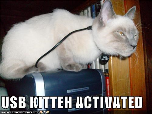 USB KITTEH ACTIVATED