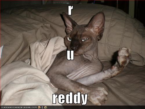 r u reddy