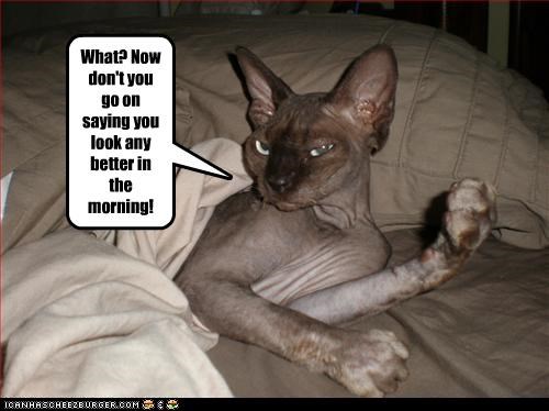 What? Now don't you go on saying you look any better in the morning!