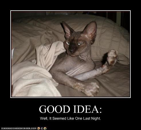 GOOD IDEA: