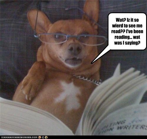 Wat? Iz it so wierd to see me read?? I've been reading... wat was I saying?