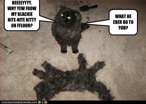 HEEEEYYYY,  WHY YEW FROW MY BLACKIE NITE-NITE KITTY ON FFLOOR?