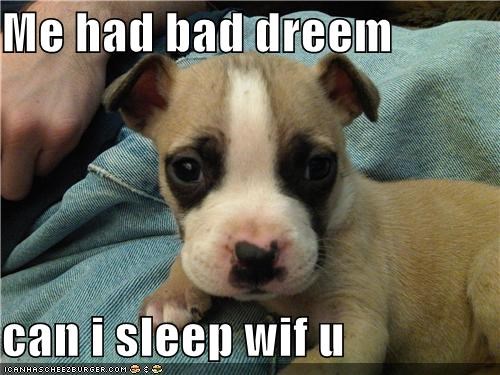 Me had bad dreem   can i sleep wif u