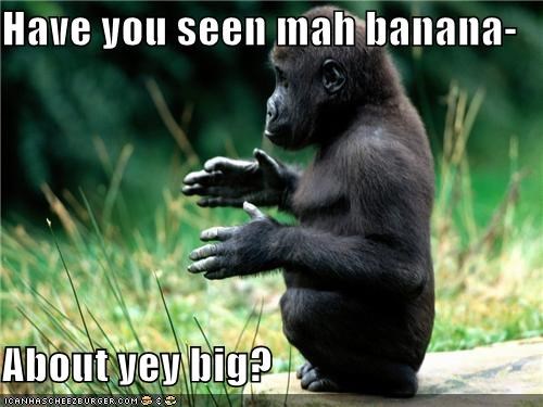 Have you seen mah banana-  About yey big?