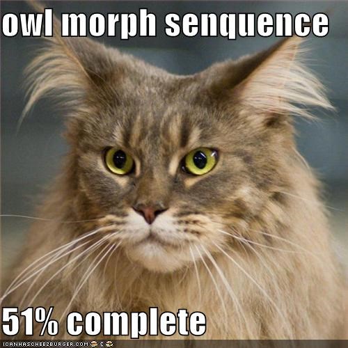 owl morph senquence  51% complete